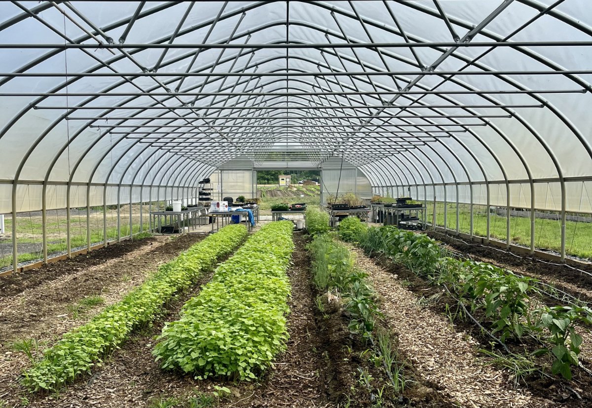 Greenhouse Farming