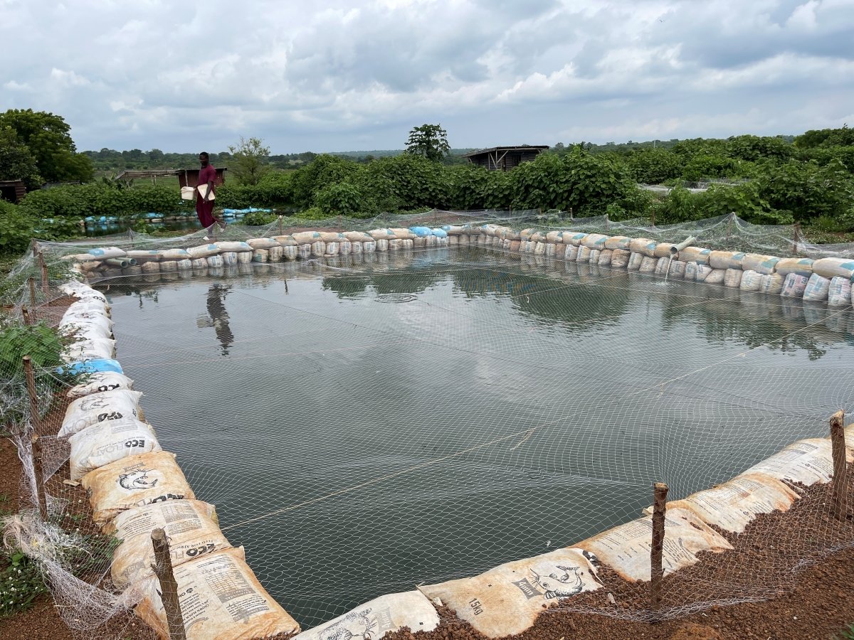 Fish Farm